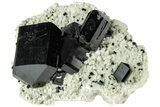 Black Tourmaline (Schorl) Crystals on Orthoclase - Namibia #227688-1